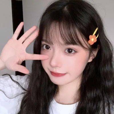 苻彩香已任海南省人大常委会党组书记