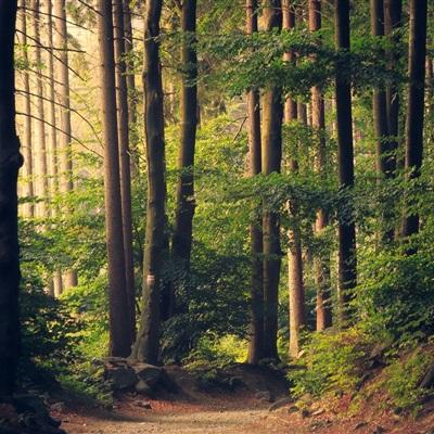 万科举行临时股东会，表决通过股东借款框架协议相关议案