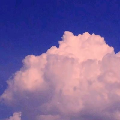 C#：Form窗体绘制ROI实例