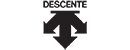 ɣ_Descente