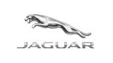 ޻(Jaguar)